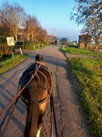 Menritjes door de polder, Ophalen