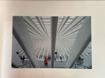 Grote moderne foto op Alu-dibond beschikbaar voor biedingen