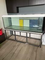 Aquarium 180x60x60, Ophalen, Zo goed als nieuw, Leeg aquarium