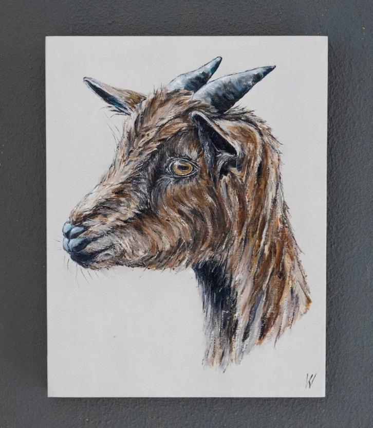 Schilderij Bok/Geit op hout, Antiek en Kunst, Kunst | Schilderijen | Modern, Verzenden