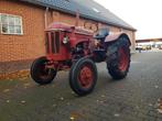 Oldtimers Hanomag R425 en Massey Ferguson TEF Diesel, Tot 2500, Oldtimer, Tot 80 Pk, Ophalen