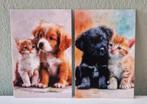Puppy's en Kittens 11, Verzenden, 1980 tot heden, Ongelopen, Hond of Kat