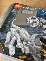 LEGO Ideas 21320 Dinosaur Fossilien, Kinderen en Baby's, Speelgoed | Duplo en Lego, Ophalen of Verzenden, Zo goed als nieuw, Complete set