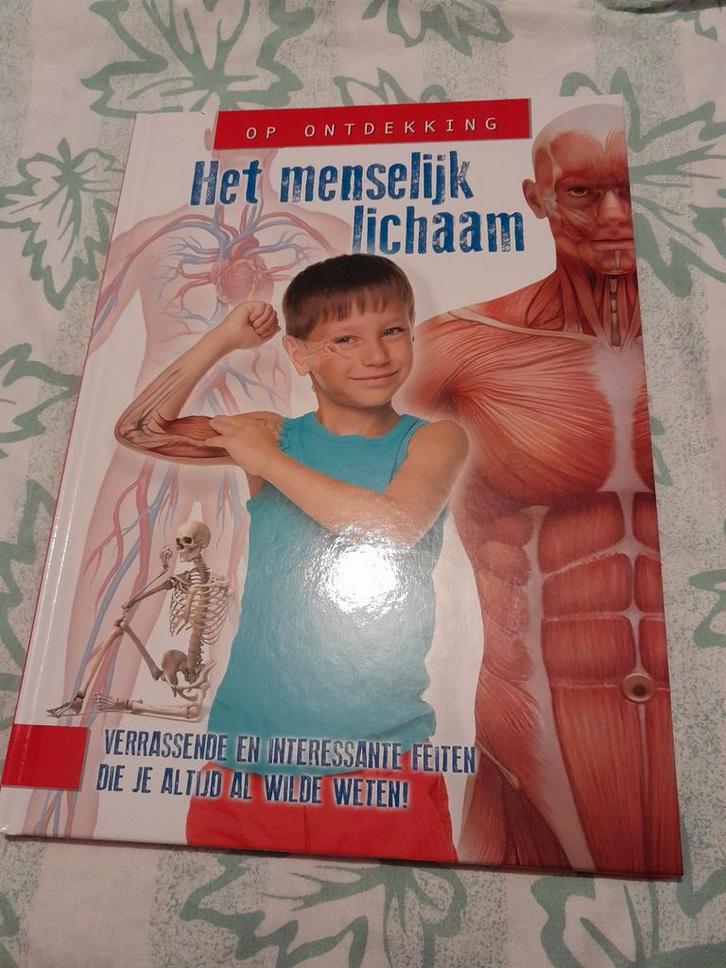 Het Menselijk Lichaam - Ontdekkingsboek nieuw, Boeken, Kinderboeken | Jeugd | onder 10 jaar, Nieuw, Non-fictie, Ophalen