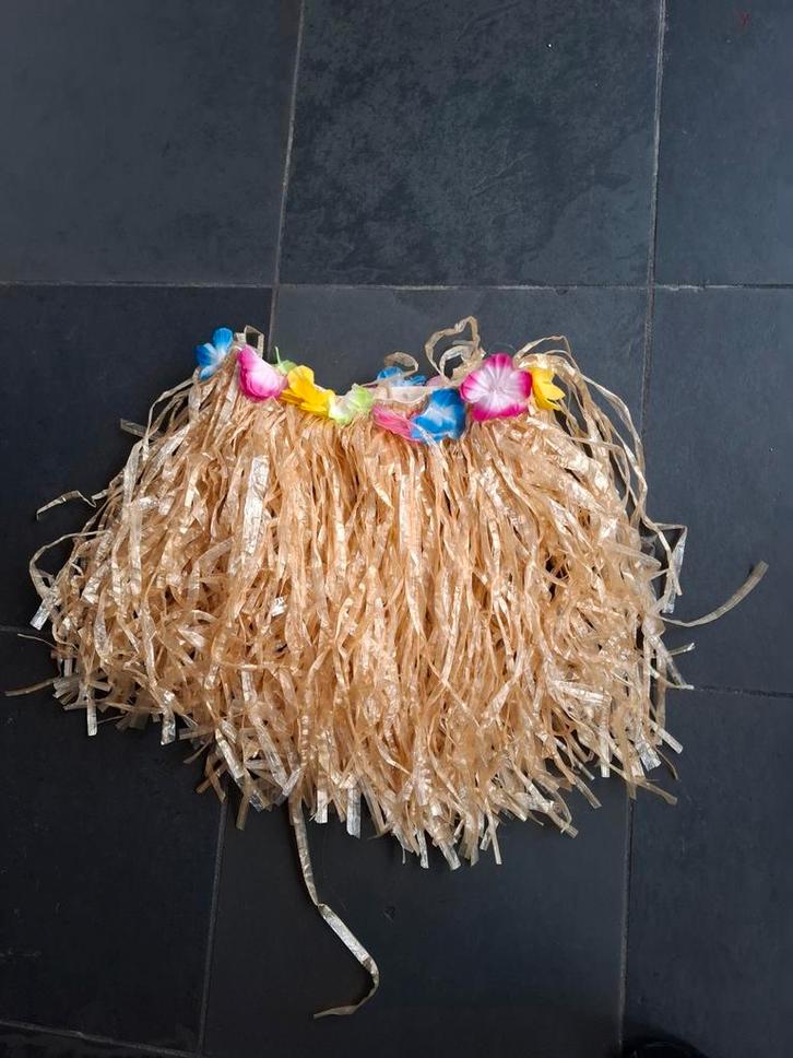 Hawaii Rok Carnaval Kostuum, Kleding | Dames, Carnavalskleding en Feestkleding, Zo goed als nieuw, Kleding, Carnaval, Maat 38/40 (M)