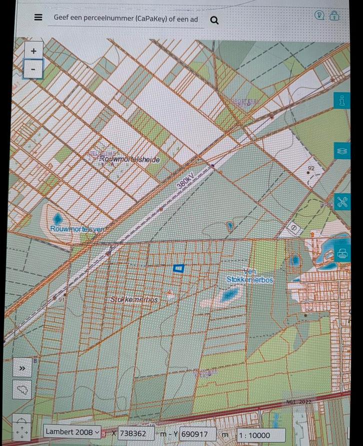 Bos grond te koop in België Dilsen Stokkem, Tuin en Terras, Planten | Bomen, Overige soorten, Volle zon, Bloeit niet, Ophalen of Verzenden