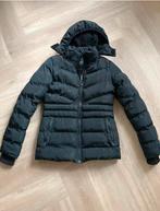 Zwarte winterjas Cars, Ophalen of Verzenden, Zo goed als nieuw