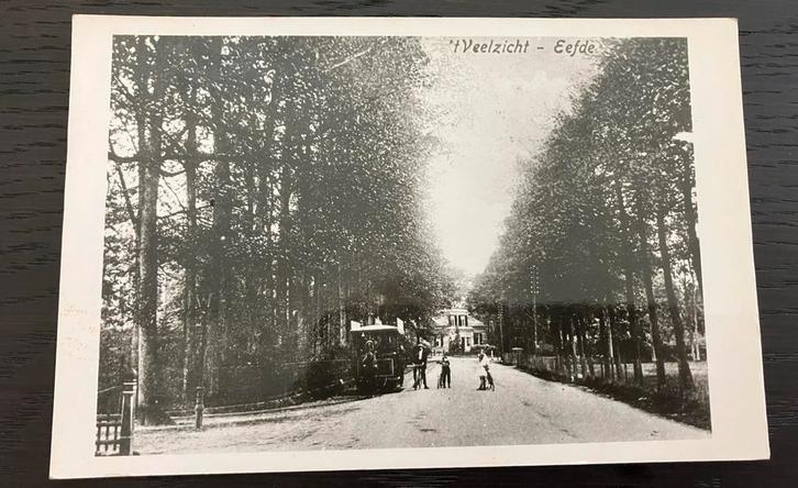 Ansichtkaart / foto ‘t Veelzicht Eefde, Verzamelen, Ansichtkaarten | Nederland, Ongelopen, Gelderland, Voor 1920, Ophalen of Verzenden