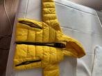 Superdry jas, Ophalen, Superdry, Geel, Maat 46/48 (XL) of groter