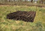 Fruitboompalen 2.50mtr