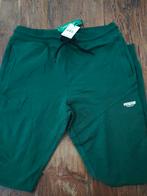 Nieuw Vingino!, Broek, Nieuw, Ophalen of Verzenden, Vingino