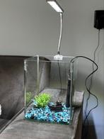 Aquarium, Dieren en Toebehoren, Vissen | Aquaria en Toebehoren, Ophalen, Gebruikt, Leeg aquarium