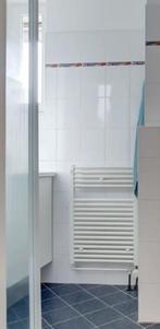 Designradiator, Doe-het-zelf en Verbouw, Verwarming en Radiatoren, Ophalen, Radiator, Minder dan 60 cm, Zo goed als nieuw