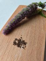 Dropplant zaadjes bio, blue spike / agastache, Verzenden, Voorjaar, Volle zon, Zaad