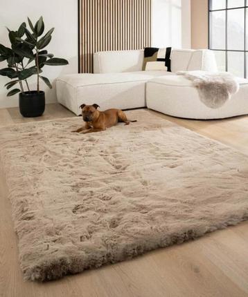 Fluffy vloerkleed – Taupe 200x290 nieuw beschikbaar voor biedingen