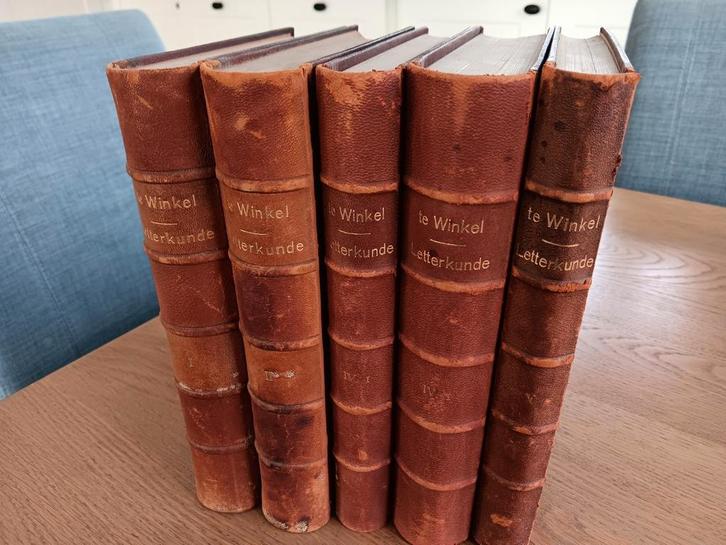 J te Winkel - Ontwikkelingsgang Nerlandse letterkunde 1908, Antiek en Kunst, Antiek | Boeken en Bijbels, Ophalen of Verzenden