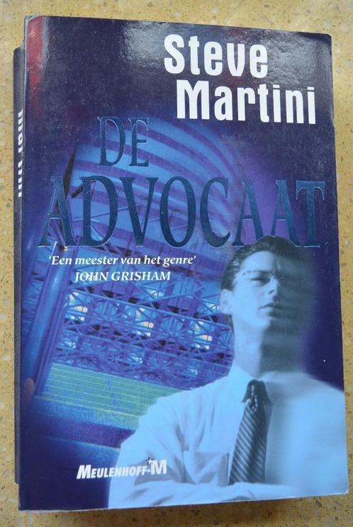 De advocaat Steve Martini Thriller, Boeken, Thrillers, Gelezen, Amerika, Ophalen of Verzenden