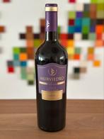 2014 Syrah rode wijn uit Spanje, Ophalen, Spanje, Nieuw, Rode wijn