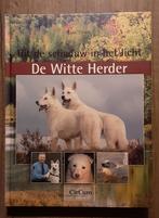R. Tilstra - De Witte Herder, Ophalen of Verzenden, Zo goed als nieuw, R. Tilstra