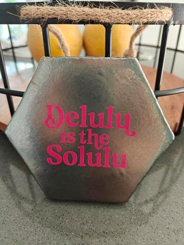 tegeltje met tekst 'delulu is the solulu'  beschikbaar voor biedingen