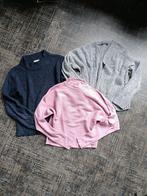 Truien en vest, Kleding | Dames, Truien en Vesten, Ophalen of Verzenden, Gedragen, Maat 38/40 (M), Overige kleuren