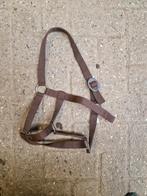 Halsters pony, Ophalen of Verzenden, Zo goed als nieuw, Overige soorten