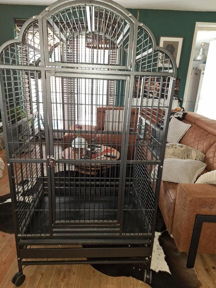 Papagaaien /Vogelkooi, Dieren en Toebehoren, Vogels | Hokken en Kooien, Gebruikt, Vogelkooi, Metaal, Ophalen