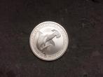 2015 Australia - Hammerhead shark - 1/2 oz silver, Ophalen of Verzenden, Losse munt, Zilver