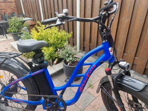 Bijzondere fiets-dikke fiets., Fietsen en Brommers, Elektrische fietsen, Zo goed als nieuw, Overige merken, 50 km per accu of meer