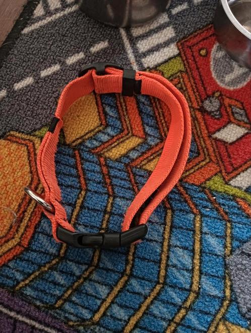 Verschilende honden en katten spullen, Dieren en Toebehoren, Honden-accessoires, Ophalen of Verzenden