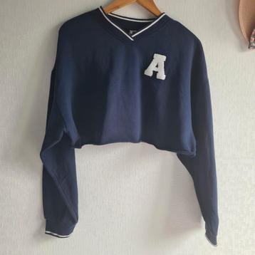 Cropted sweater van de H&M beschikbaar voor biedingen