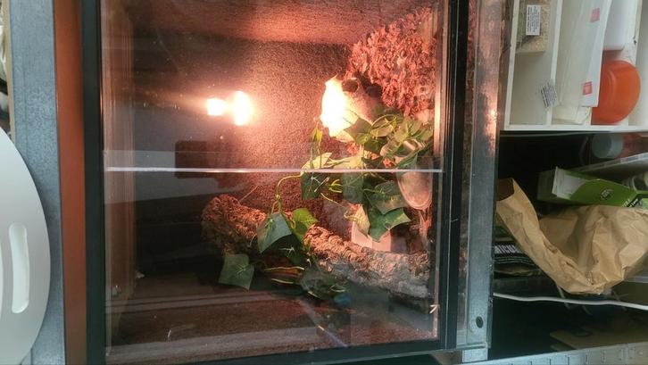 Diverse terrarium/ terraria, Dieren en Toebehoren, Reptielen en Amfibieën | Toebehoren, Zo goed als nieuw, Terrarium of Paludarium
