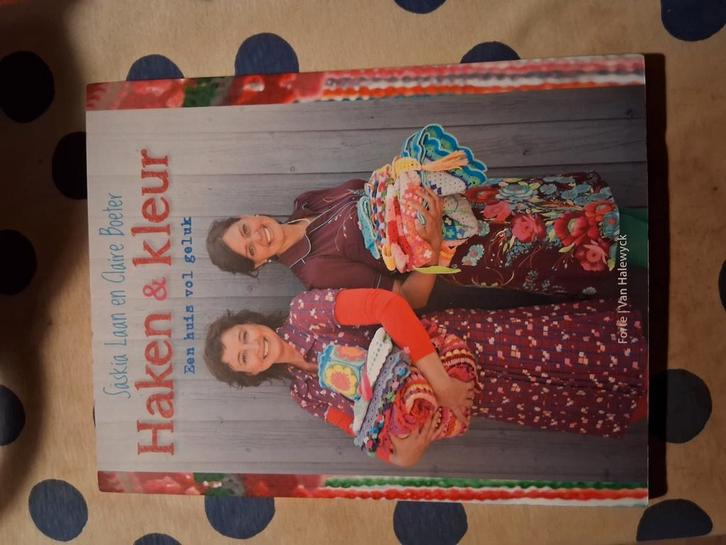 Saskia Laan - Haken en kleur, Boeken, Hobby en Vrije tijd, Zo goed als nieuw, Ophalen of Verzenden