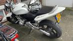 Honda Hornet 600, Gebruikt