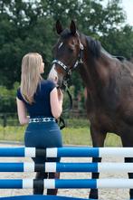 Polo riemen in verschillende kleuren, Ophalen of Verzenden, Nieuw, Overige soorten, Overige typen