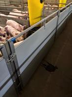 Kunststof hokinrichting vleesvarkens [812], Dieren en Toebehoren, Stalling en Weidegang, Boekhorst Trading, Info@boekhorsttrading.com