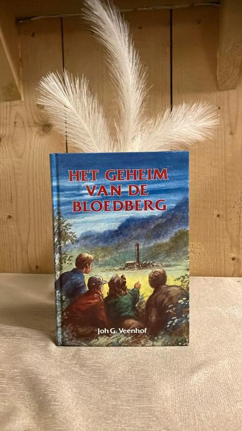 KR-7 Joh.G. Veenhof - Het geheim van de bloedberg, Boeken, Kinderboeken | Jeugd | onder 10 jaar, Zo goed als nieuw, Ophalen of Verzenden