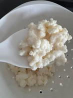 Melk kefir korrels, Ophalen