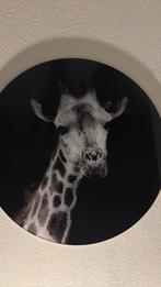 Giraf plaat nieuw !, Huis en Inrichting, Woonaccessoires | Wanddecoraties, Ophalen of Verzenden, Nieuw