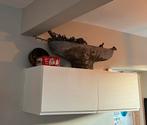 Twee ikea bovenkastjes, Huis en Inrichting, Ophalen, Gebruikt, 50 tot 100 cm, Minder dan 100 cm
