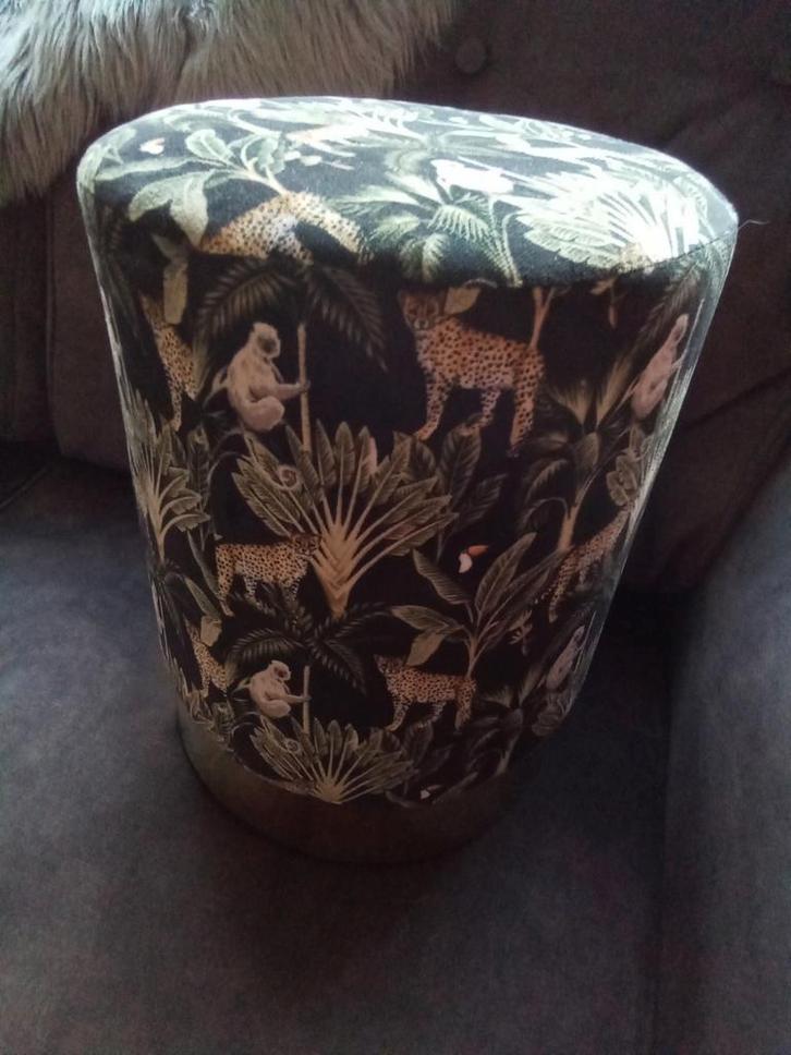 MOOI DIERENPOEFJE PANTERS LUIPAARD PRINT, Huis en Inrichting, Woonaccessoires | Overige, Zo goed als nieuw, Ophalen