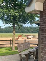 Stalling en weidegang bij bos en hei, Dieren en Toebehoren, Stalling en Weidegang
