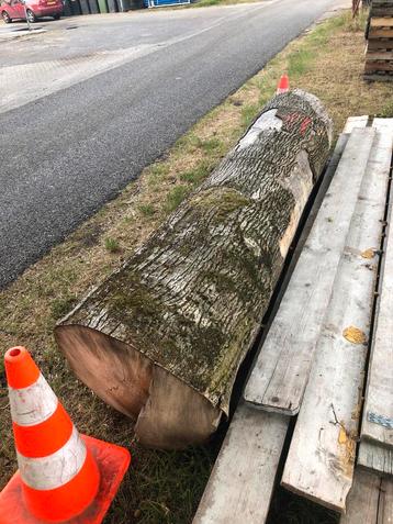 Boomstam / hout beschikbaar voor biedingen