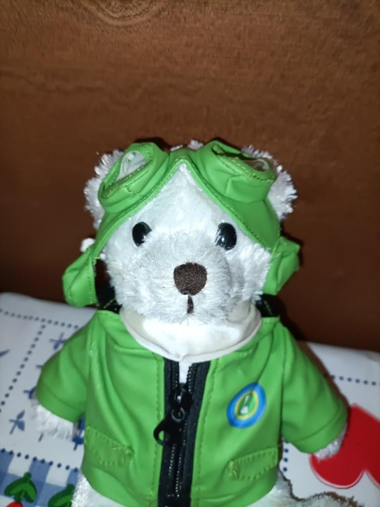 Transavia piloot beer knuffel met groene jas en bril 21 cm, Ophalen of Verzenden, Beer
