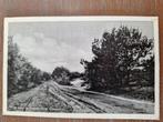 Fotokaart Ommen - Weg naar de Lemelerberg, Ophalen of Verzenden, 1940 tot 1960, Gelopen, Overijssel