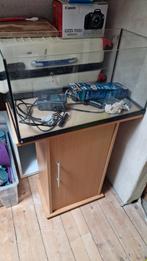 Aquarium 54 liter met filter en verwarming, Dieren en Toebehoren, Ophalen, Zo goed als nieuw, Leeg aquarium