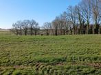 Grasland gezocht enkele kilometers vanaf Margraten (Limburg), Ophalen, Vee