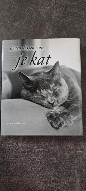 J. Sandsmark - Levenslessen van je kat beschikbaar voor biedingen