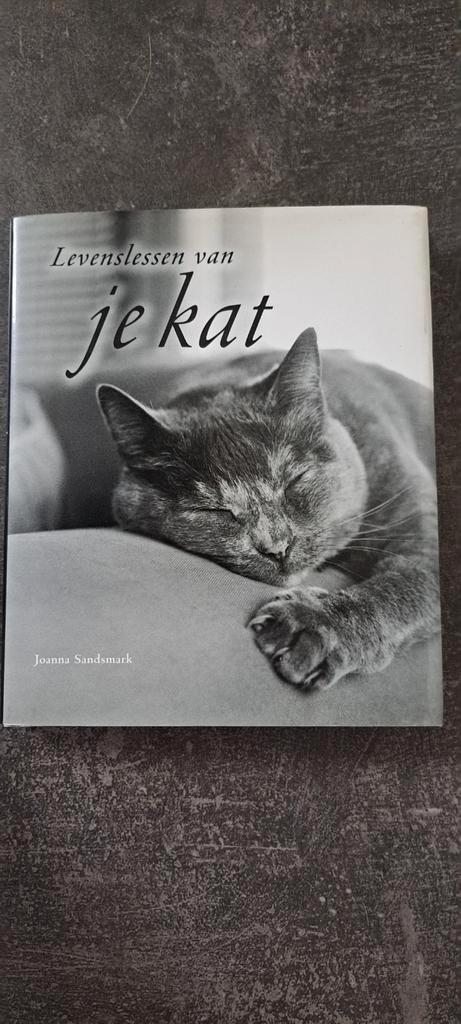 J. Sandsmark - Levenslessen van je kat, Boeken, Overige Boeken, Zo goed als nieuw, Ophalen of Verzenden