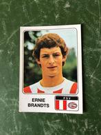 Panini plaatje Ernie Brandts PSV voetbal 79, Ophalen of Verzenden, Zo goed als nieuw, PSV